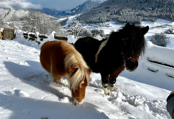 Bild 21