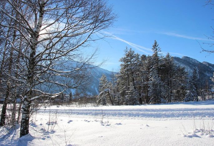 Bild 10