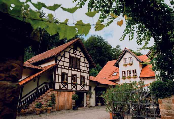 Bild 4