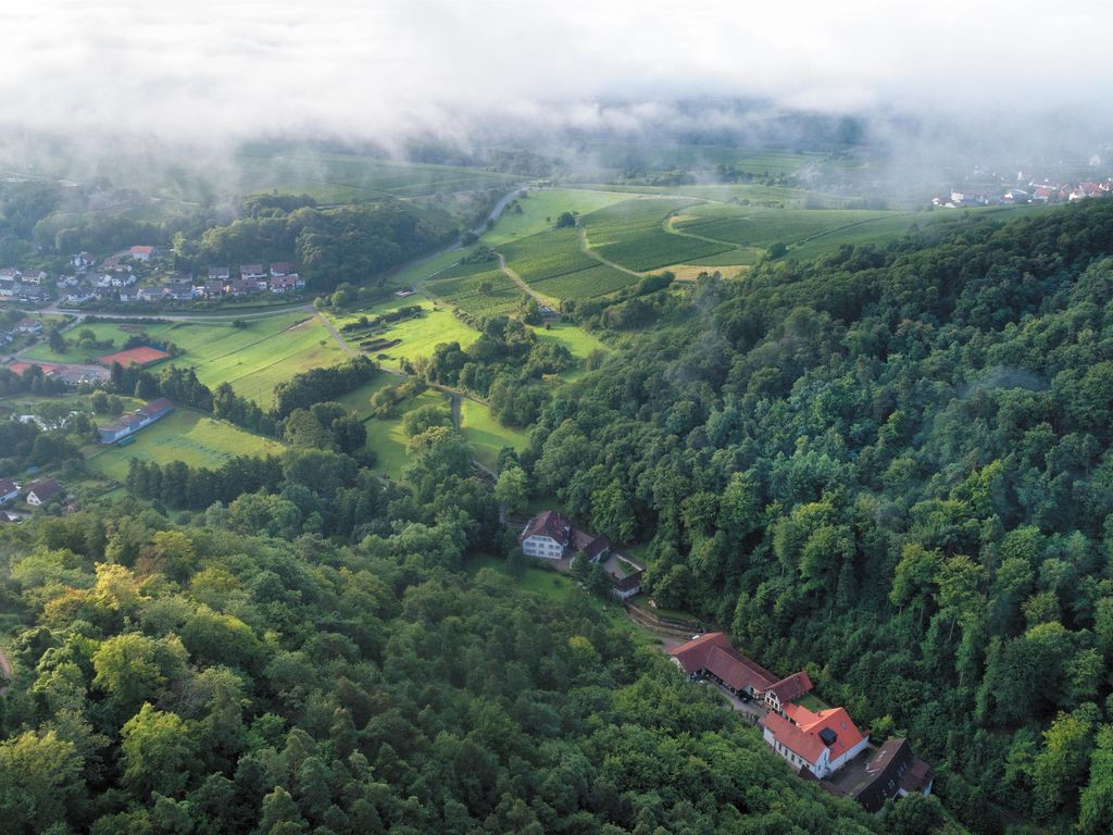 Weingut-Gästehaus Porzelt
