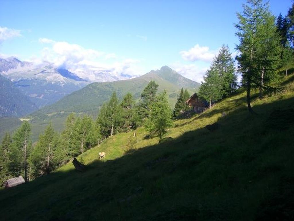 Zickerhütte