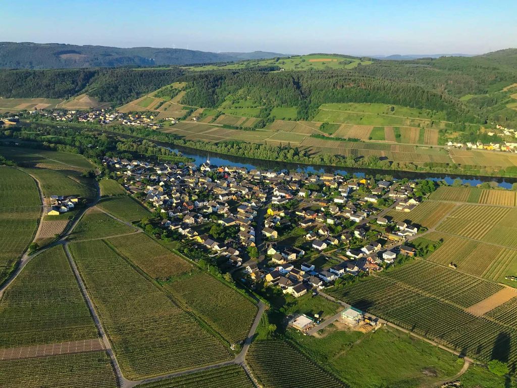 Ferienwohnungen Moselterrasse