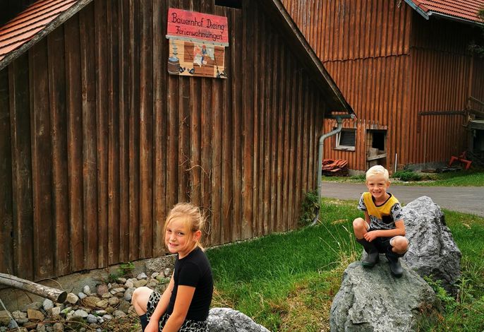 Bild 38