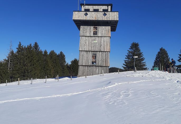 Bild 65