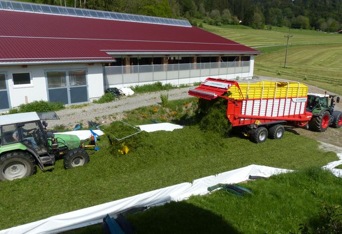 Bild 45