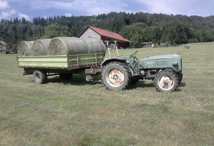 Bild 42