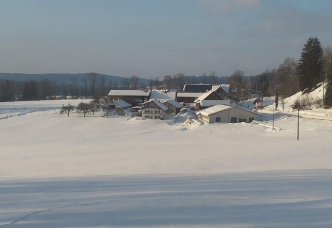 Bild 68