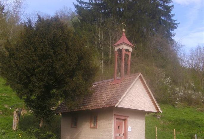 Bild 51
