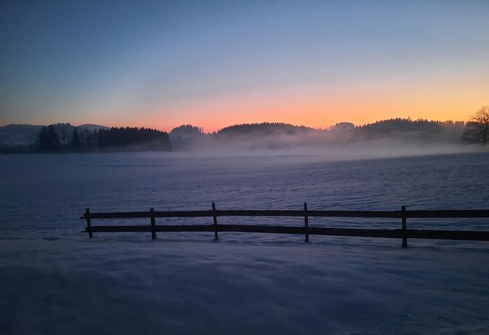 Bild 64