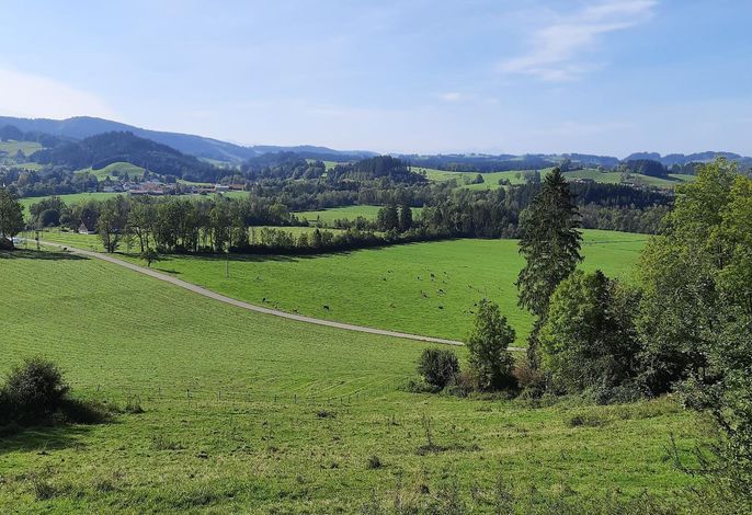 Bild 19