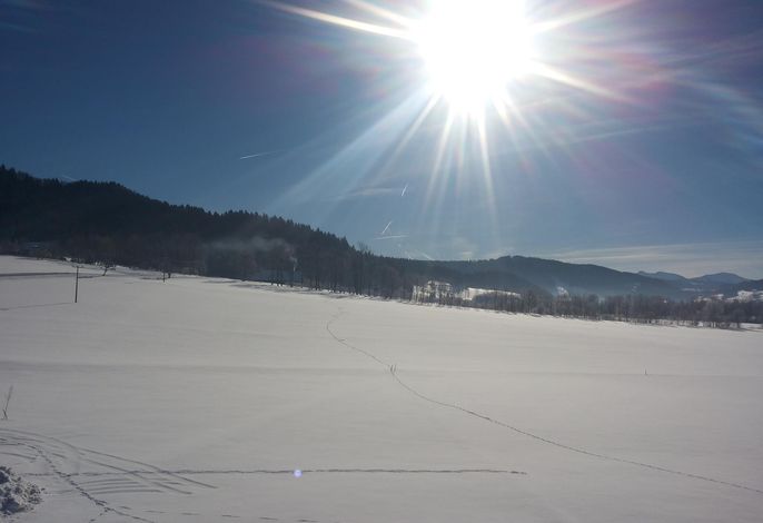 Bild 70