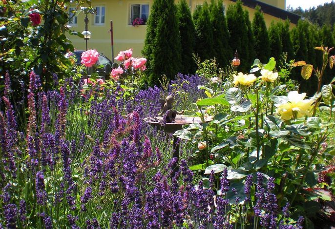 Bild 14