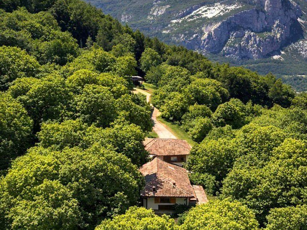 I MARONERI