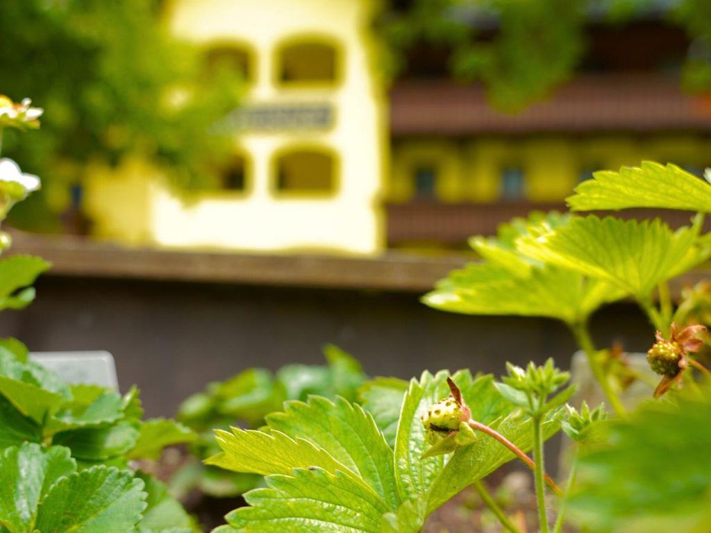 Hotel Steuxner