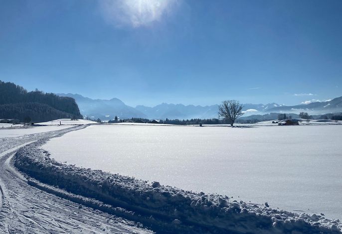 Bild 50