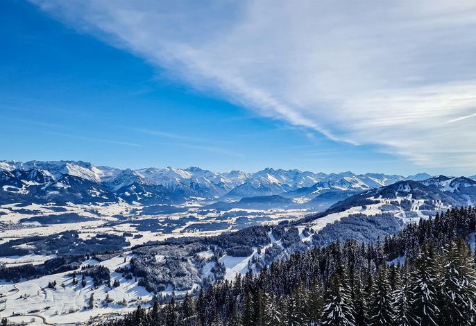 Bild 54