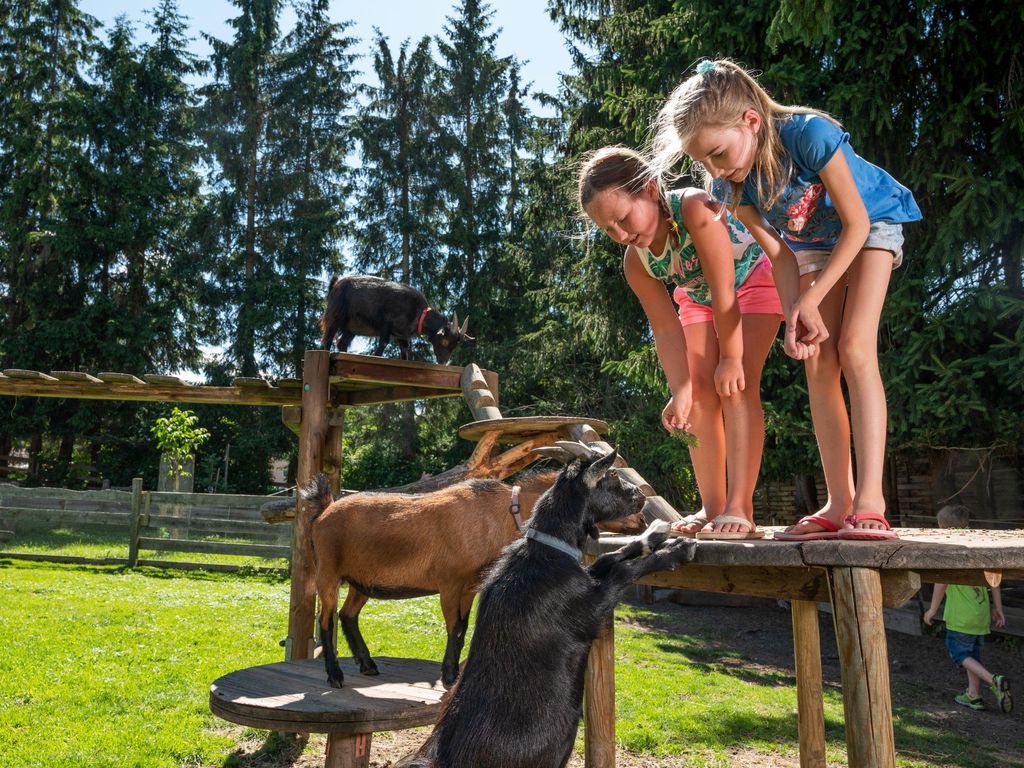 Bliems Familienhotel/Schladming-Dachstein