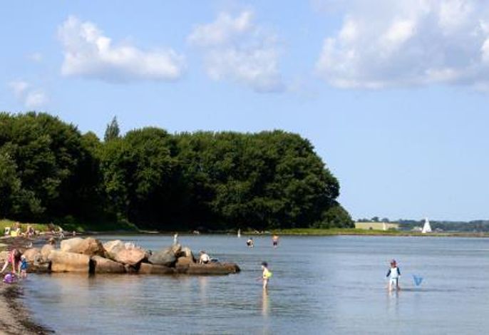 Bild 15