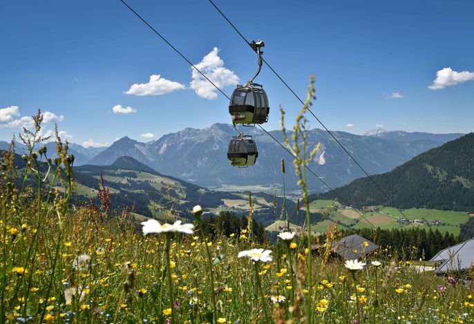 Bild 33
