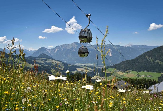 Bild 19