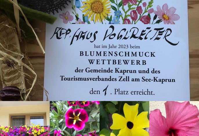 Bild 17