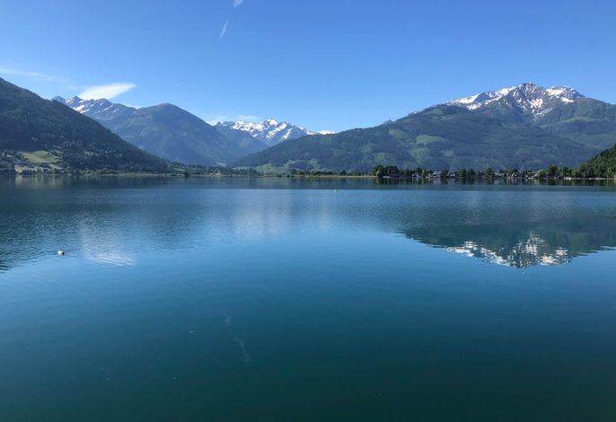Bild 50