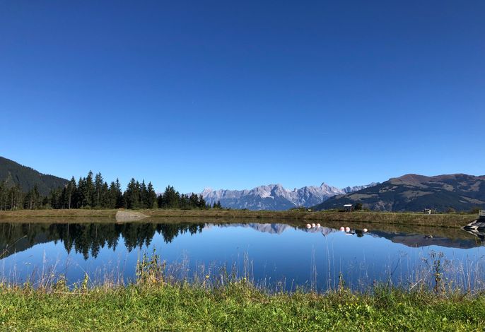 Bild 51