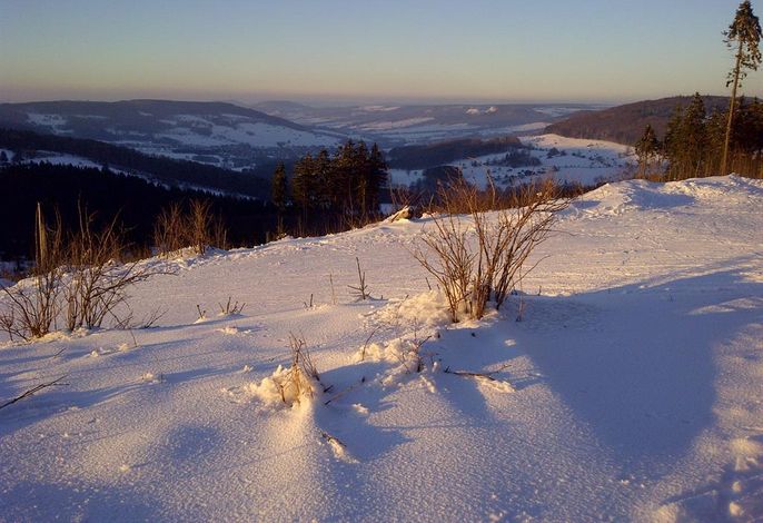 Bild 19