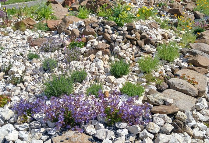 Bild 17