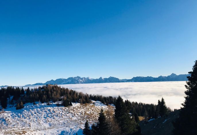 Bild 64