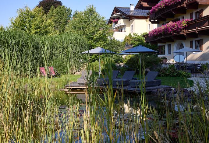 Bild 46