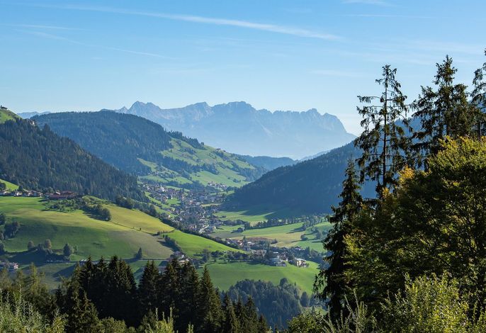 Bild 14