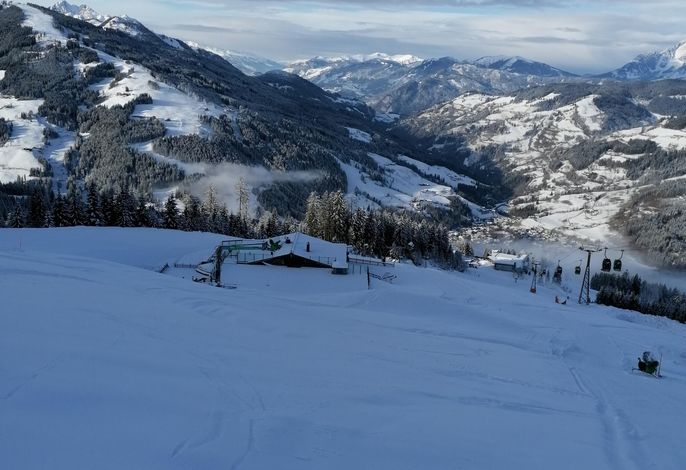 Bild 41