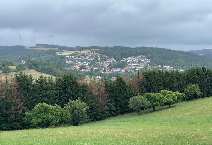 Bild 2
