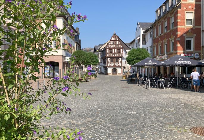Bild 14