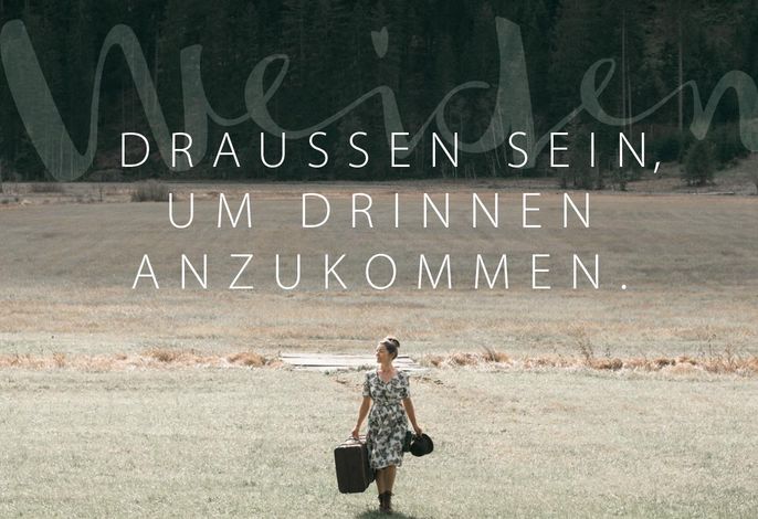 Bild 17