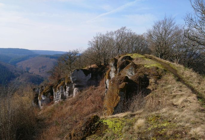 Bild 15