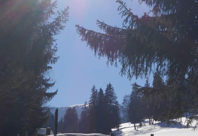 Bild 19