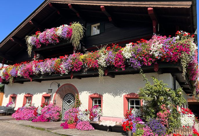 Schwalbenwand