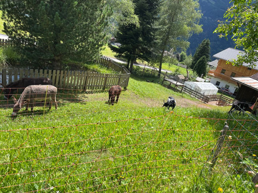 Schmid in Oberdrum
