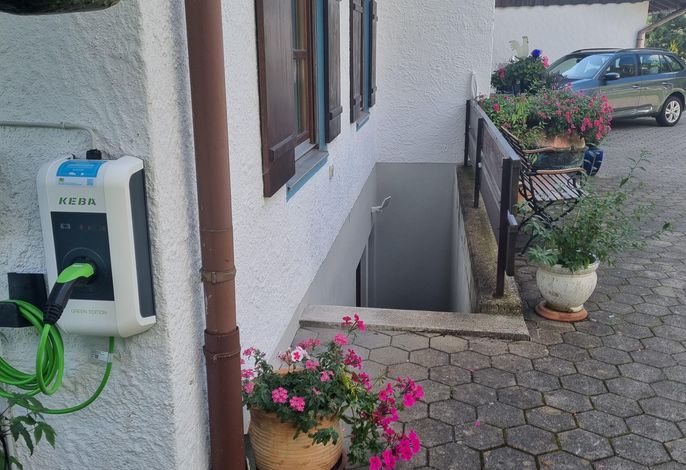 Bild 50