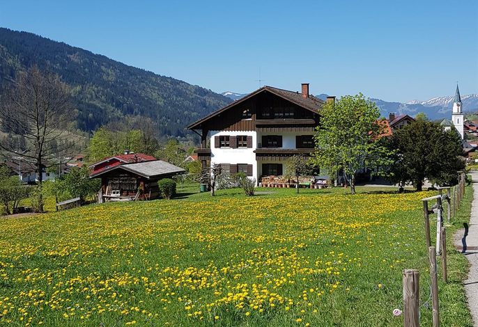 Bild 38