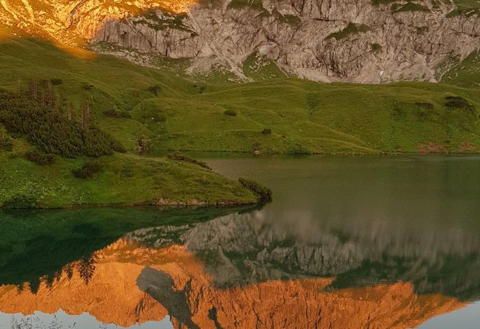Bild 36