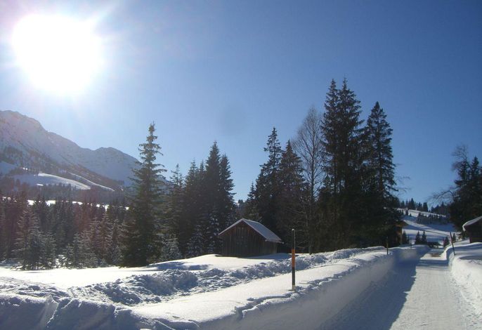Bild 15