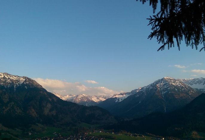 Bild 43