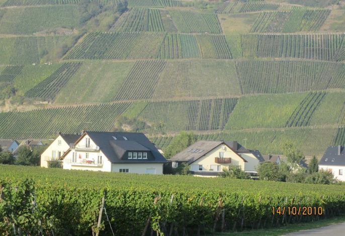 Bild 17