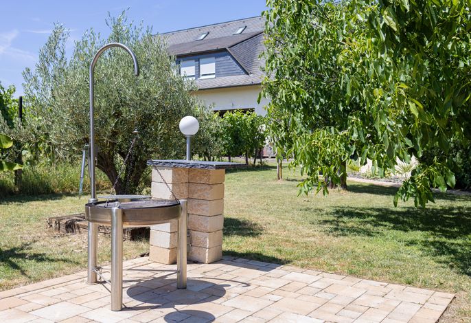 Bild 24