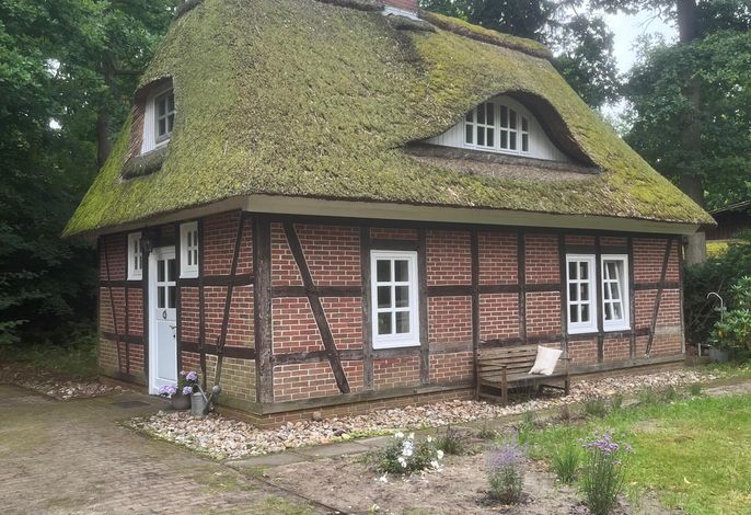 FH,65m²,DU/WC,DZ,ZZ,EG/OG