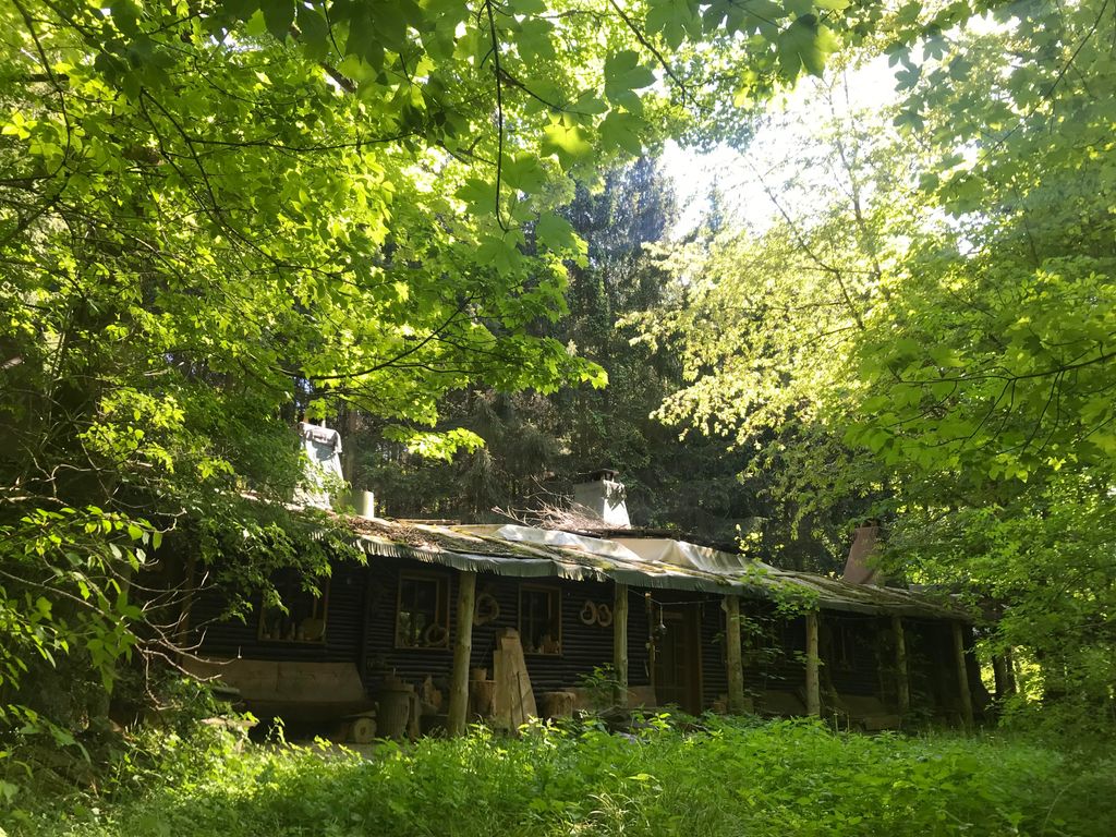 Ferienhaus Das wilde Auwaldhaus