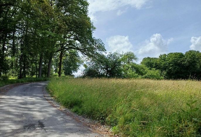 Bild 22